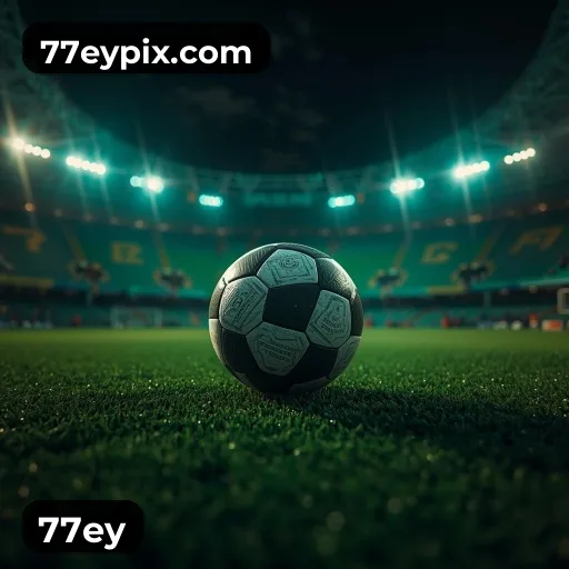 Níveis do programa VIP da 77ey